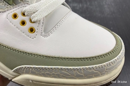 4843 DX6660- 3 Elegant Retro 380 Jordan 0714